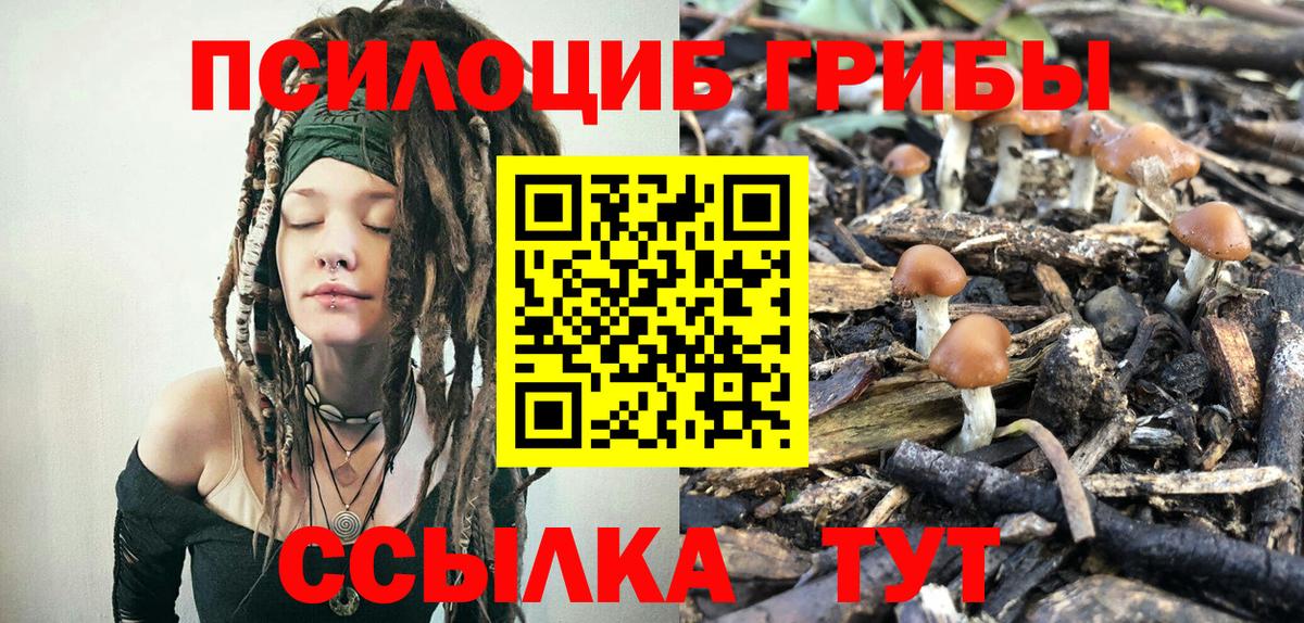Псилоцибиновые грибы MAGIC MUSHROOMS  где продают наркотики  Вход с VPN  Тимашёвск  Галлюциногенные грибы MAGIC MUSHROOMS 